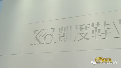 劉彬 以產(chǎn)品研發(fā)驅(qū)動溫州鞋業(yè)升級，教育項目與科研文獻并進